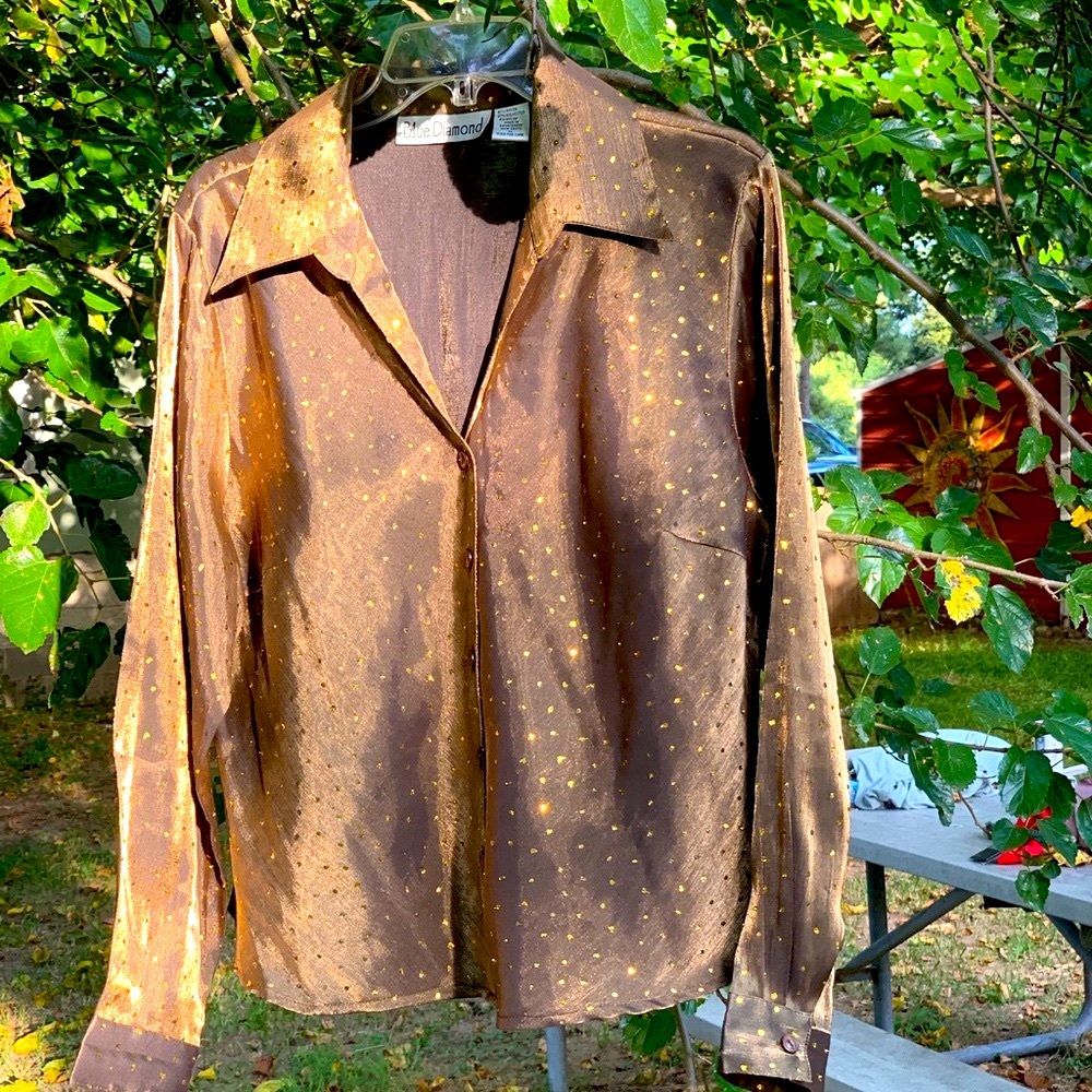 Blue Diamond Special Occasion Blouse